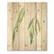 Designart - Two Willow Branches - Farmhouse Print on Natural Pine Wood